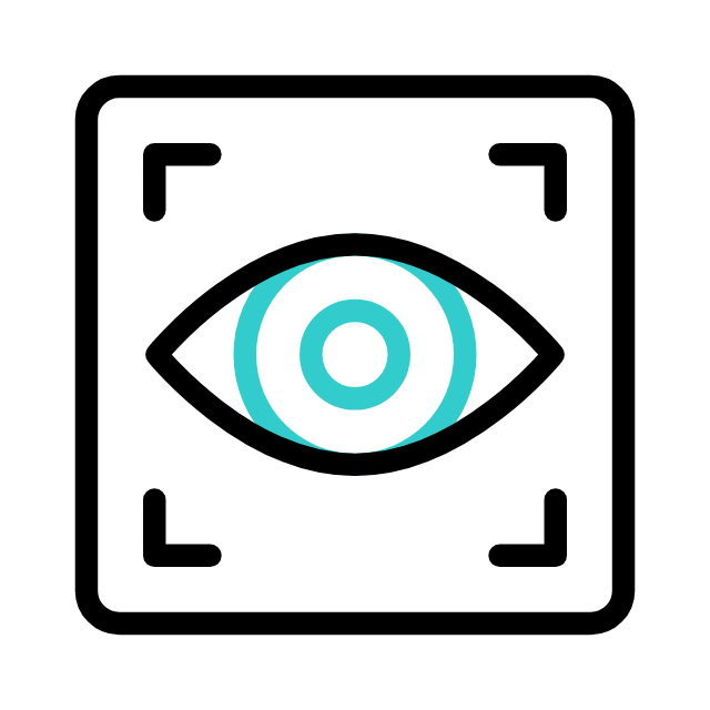 Vision